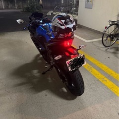 ニンジャ EX250L 超美車ETC2.0(引越しのため売ります)
