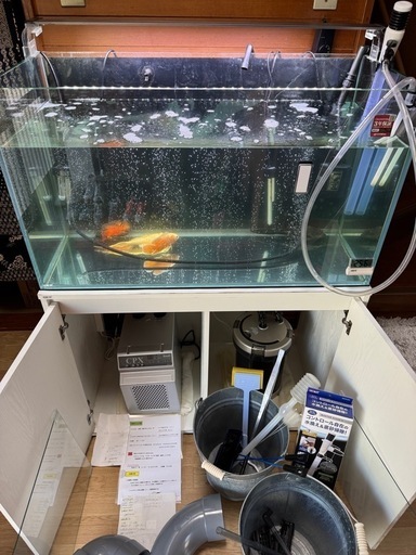 水槽90㌢、水槽台、淡水魚、その他