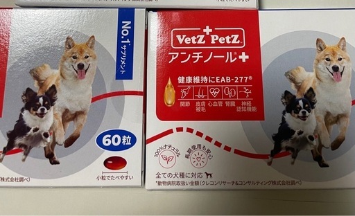 アンチノール⑥