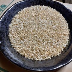 令和6年産 新米ヒノヒカリ（ひのひかり）玄米30kg＜完売＞