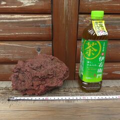 富士山の火山弾②