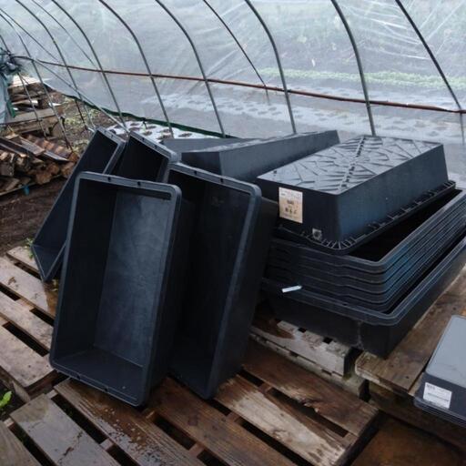 トロ箱メダカ用30個まとめ売り