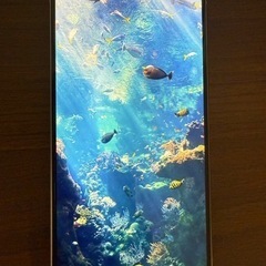 iPhone 15 pro ホワイトチタニウム　256GB