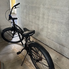 値下げ中 ビーチクルーザー Schwann