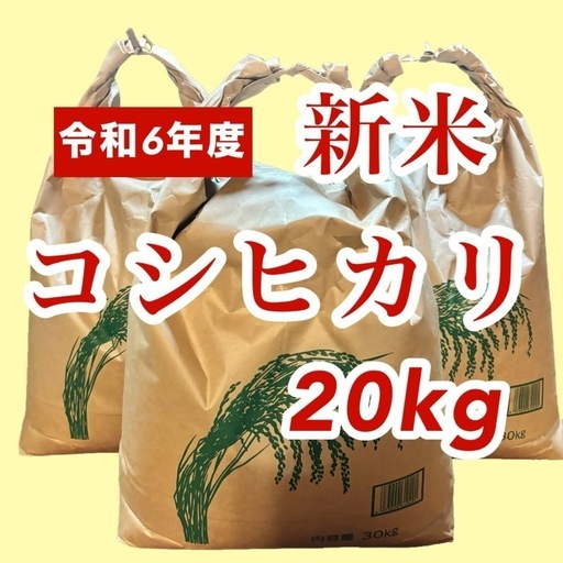 鳥取県産コシヒカリ　令和6年産　新米20kg(玄米)