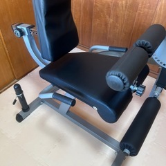 レッグエクステンション、レッグカール