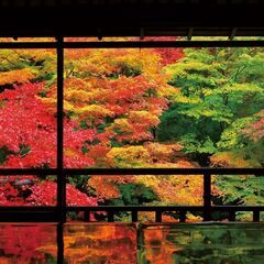 秋の京都（三千院）へ紅葉を見に。