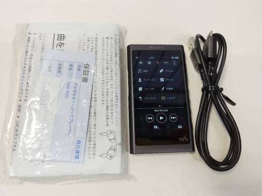 【美品】SONY ウォークマン/NW-A55/16GB