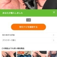 能勢YG血統　
オオクワガタ　ペア　　