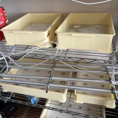 室内用水耕栽培セット　LED 水心 番重　　