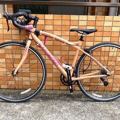 ★クロスバイク ルイガノ LOUIS GARNEAU CR07 700×25c 450★