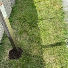 天然芝　約25m2ほど　2024.10月末まで