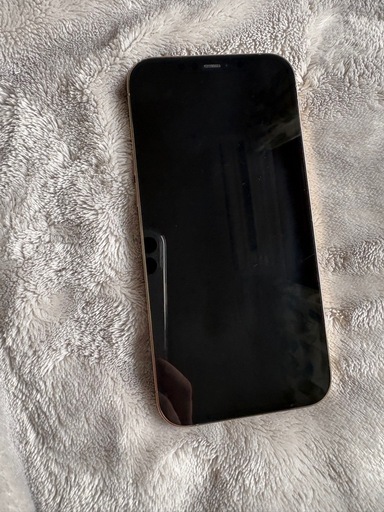 【SIMフリー】iPhone12 Pro Max 256GB