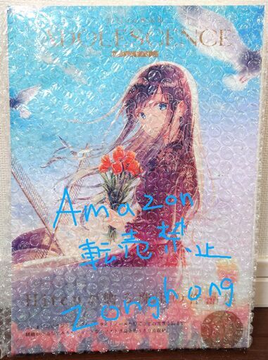 Hiten サイン本 ADOLESCENCE 画集