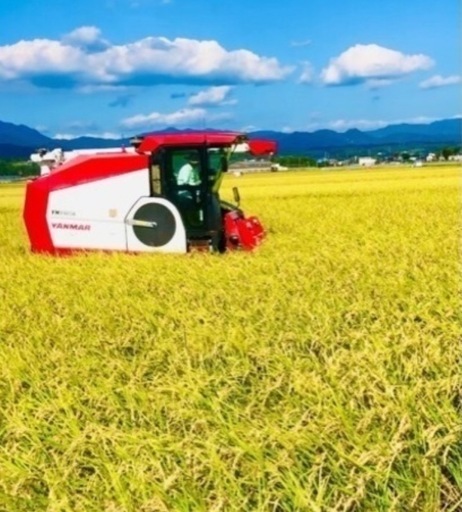 菊池産　新米30kg