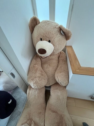 コストコ　クマのぬいぐるみ サイズ 約236cm