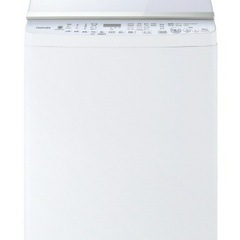 【11/9AMのみ取引可】東芝　縦型洗濯機  お風呂ホース、説明書一式付き(AW-10SV9)