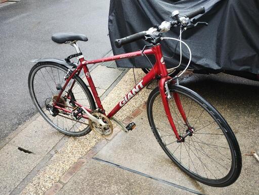 GIANT escape R3 Mサイズ 訳あり