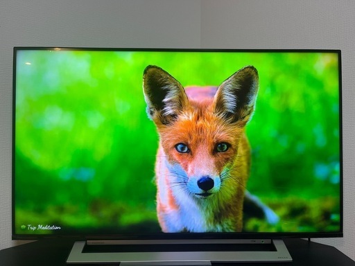 TOSHIBA REGZA 4k 43型テレビ