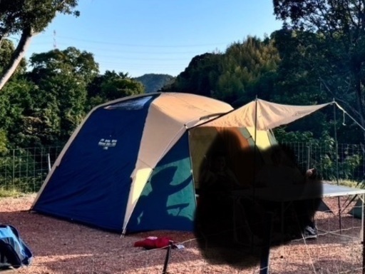 コールマンテント　STD DOME WIDE 300x280