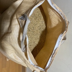 ヒノヒカリ（新米）籾付き 30kg