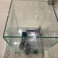 テーブル 水槽の中古が安い！激安で譲ります・無料であげます｜ジモティー 