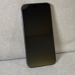 美品 iPhone15 Pro Max 256GB SIMフリー