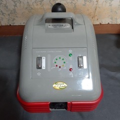 新品価格が60万程‼️のハイスペックスチームクリーナー　スティーム・レディ　STEAM LADY