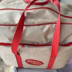 新品価格が60万程‼️のハイスペックスチームクリーナー　スティーム・レディ　STEAM LADY