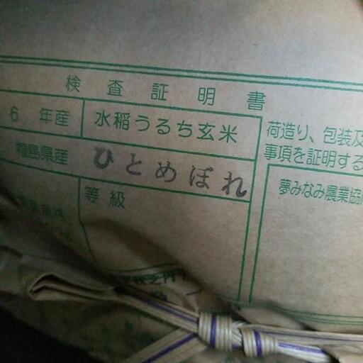 水稲うるち玄米　ひとめぼれ