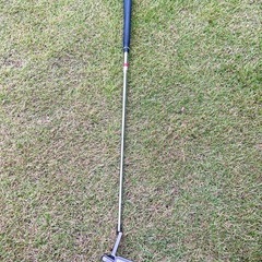 ベティナルディ　パター