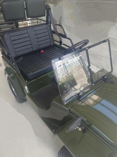 値下げ　ネクストクルーザー　ネクストクルーザーEVモデル　オプションの大型ラック、シートカバー付き　ブレイズ　BLAZE　一部写真を加工してます ネクストクルーザー ネクストクルーザーEVモデル オプションの大型