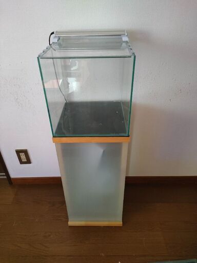 30センチ水槽