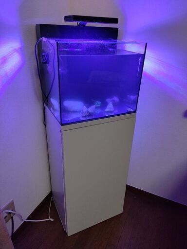 海水用　水槽セット