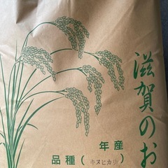 一旦受付終了。令和6年度産お米 新米キヌヒカリ 玄米30Kg - 食品 
