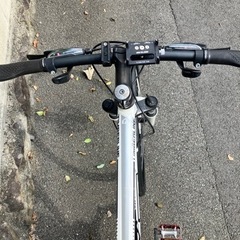 【取引終了】GT ティンバーライン29インチ