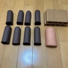 F1 インペリアルゼブラ ブリード個体 ランダム 3cm前後