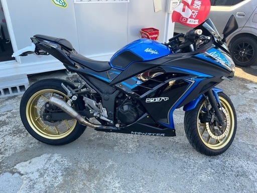カワサキ 2015年式 ニンジャ250SE フルカスタム カワサキ ニンジャ 250