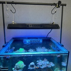 Red Sea170セット