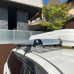 TERZO テルツォ　ルーフラック　ロング　EA309 