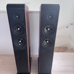 audio pro AVANTO FS-20 ペア