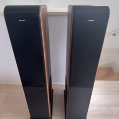 オーディオ プロ audiopro AVANTO FS-20 ペアセット AUDIO-PRO - AVANTO FS-20/ピアノブラック（ペア）《e-u》｜e