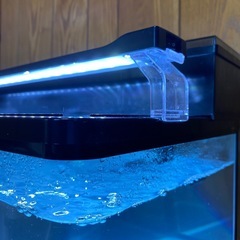 60cm水槽台付セット