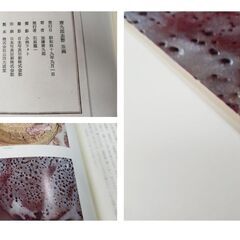 唐九郎志野 茶碗 昭和49年求龍堂 加藤唐九郎 大型本　定価38000円