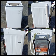 F1813【美品】TOSHIBA 電気洗濯機 6kg 2019年製 AW-6G8