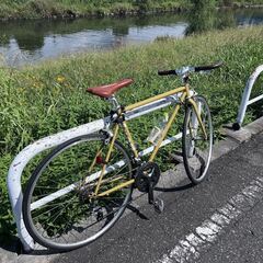 シェファードの中古が安い！激安で譲ります・無料であげます｜ジモティー 