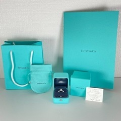 ティファニーセッティング エンゲージメント リング プラチナ ティファニー® セッティング エンゲージメント リング プラチナ