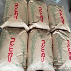 【令和６年】茨城県産コシヒカリ 30kg（精米）