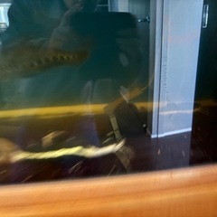 熱帯魚と水槽商談中