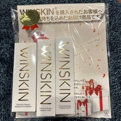 WINSKIN